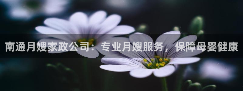 杏悦娱乐注册平台有哪些