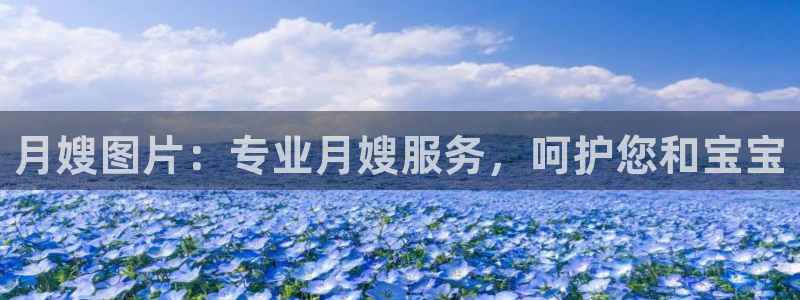杏悦官网登录