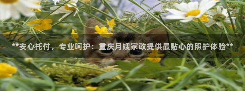 杏悦平台注册网址