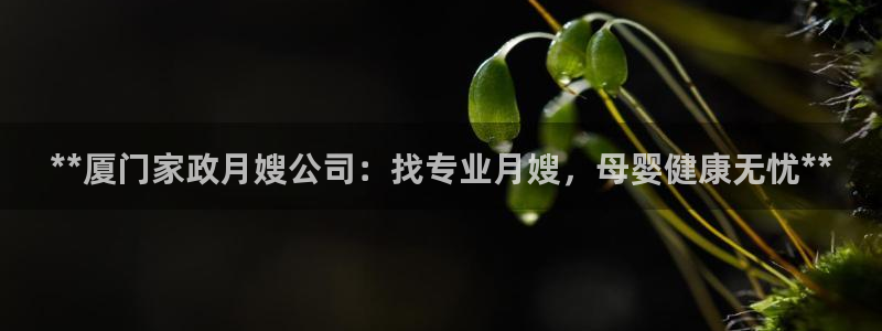 杏悦是什么