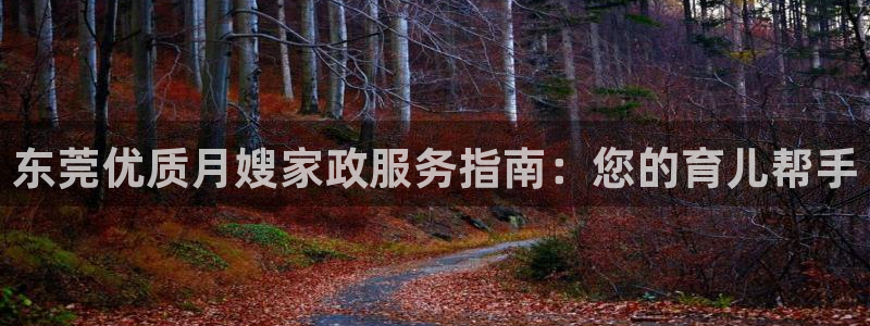 杏悦平台代理怎么赚钱快