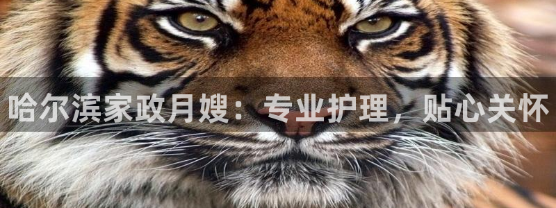 杏悦平台线路测速