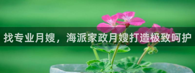 杏悦平台可靠吗可信吗安全吗