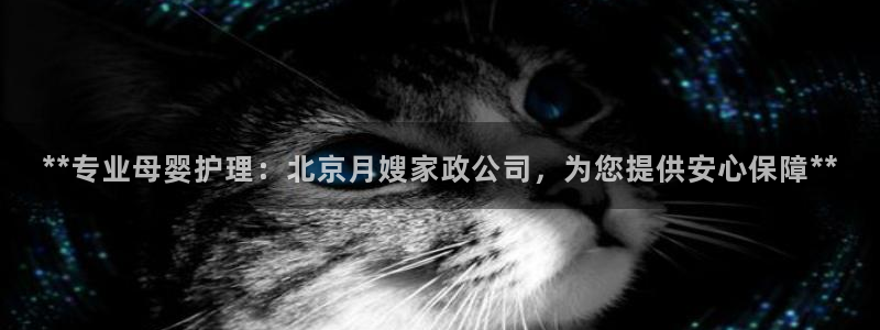 杏悦招商地址