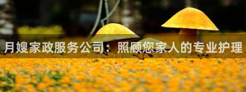 杏悦平台招商电话号码