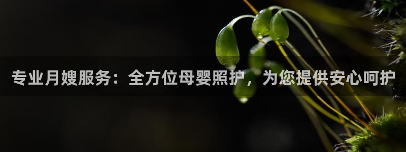 杏悦官网登录入口网址