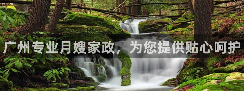 杏悦官网注册信息是什么样的