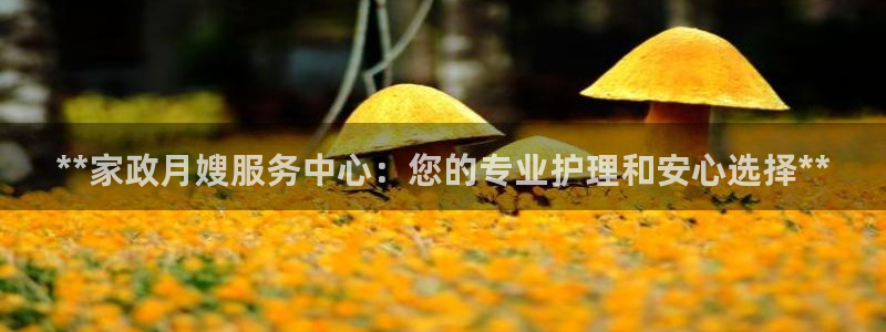 杏悦平台官网注册