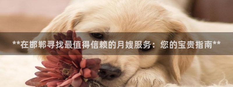 杏悦平台注册地址在哪里