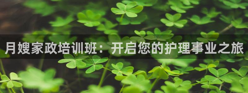 杏悦平台登陆
