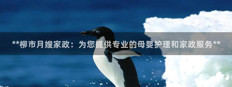 杏悦官网