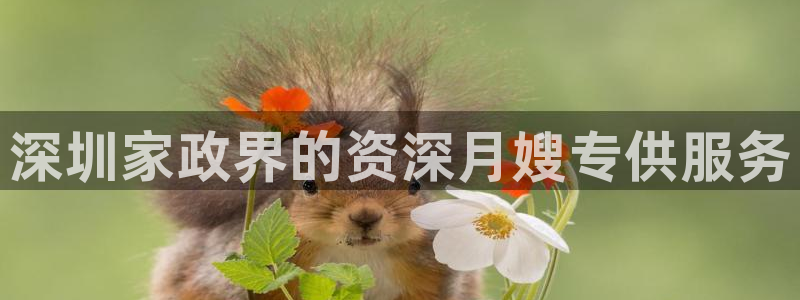 杏悦靠谱吗