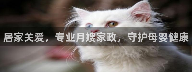 杏悦平台代理注册
