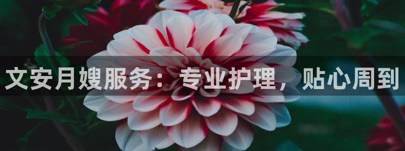 杏悦平台代理怎么做