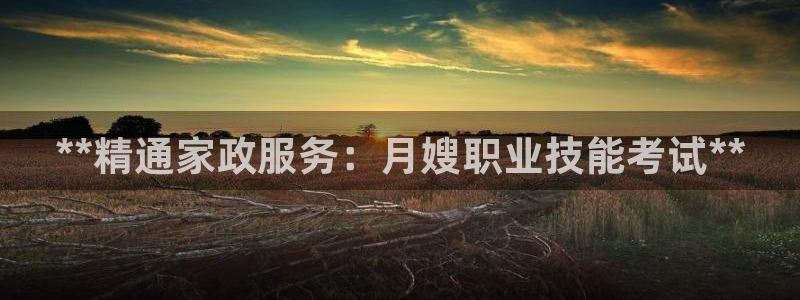 杏悦平台注册网址