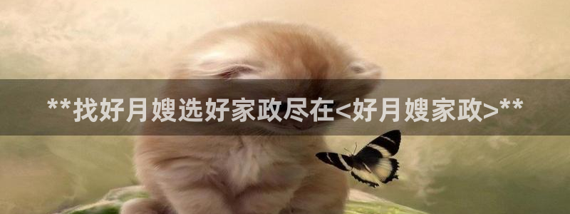 杏悦官网注册信息在哪里看