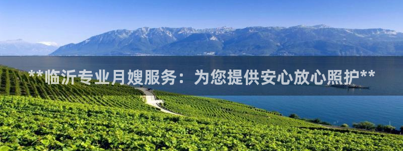 杏悦官网注册信息是什么样的