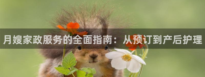 杏悦平台招商怎么样