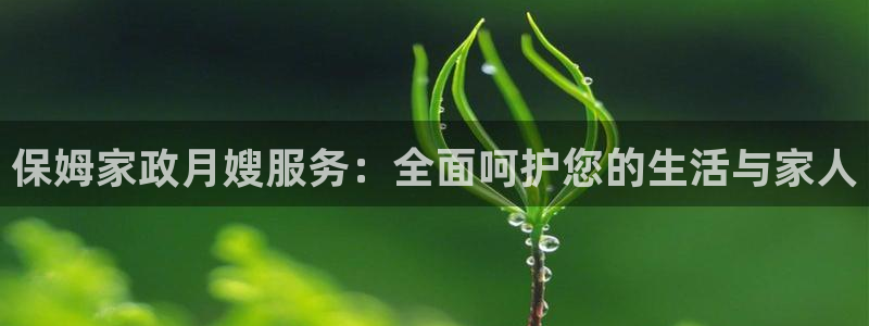 杏悦平台登录网址查询