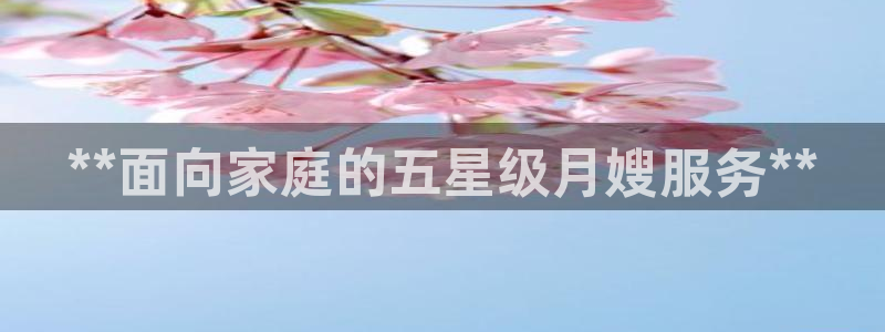 杏悦平台代理怎么赚钱的