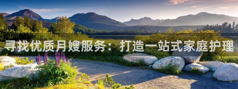 杏悦平台官网注册账号