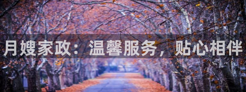 杏悦官网注册信息查询