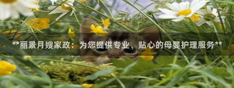 杏悦平台可靠吗可信吗是真的吗