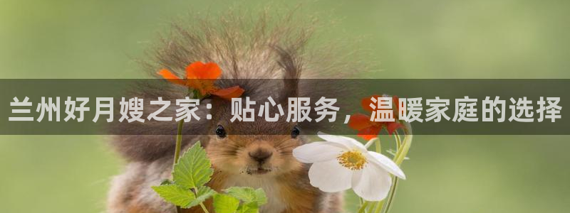 杏悦平台开户地址