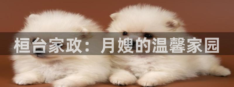 杏悦t首选推荐平台