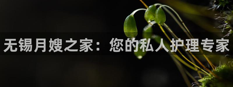 杏悦平台可靠吗是真的吗
