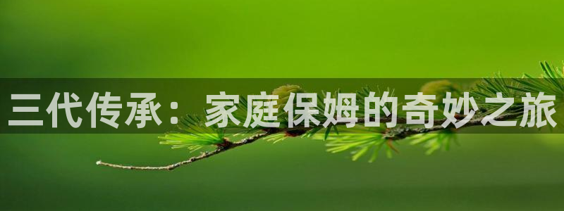 杏悦官网注册信息在哪里看