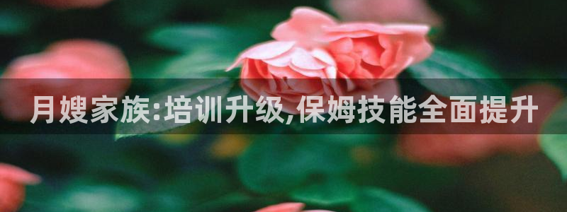 杏悦平台代理怎么赚钱