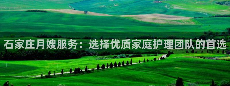 杏悦平台登录网址查询