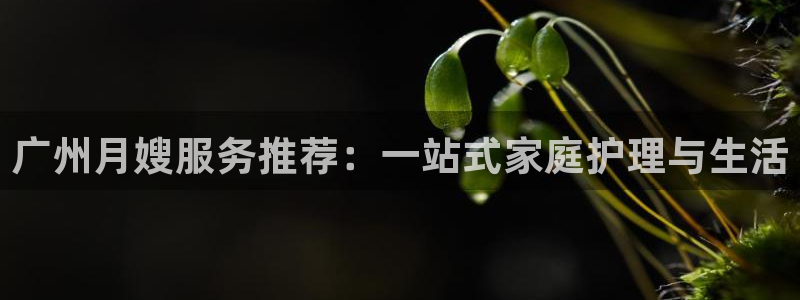 杏悦官方平台是正品吗知乎