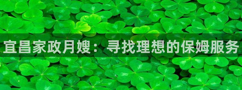 杏悦平台代理怎么样赚钱