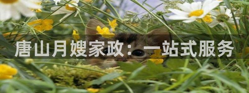 杏悦平台代理怎么做赚钱