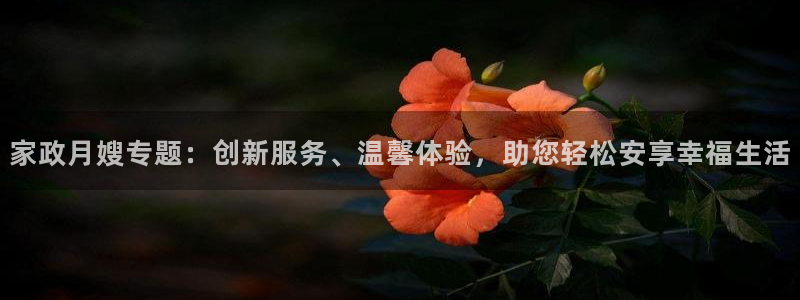 杏悦1招商地址