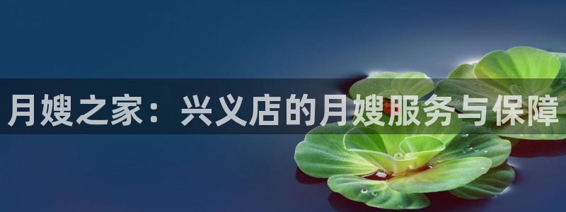 杏悦官方平台官网入口