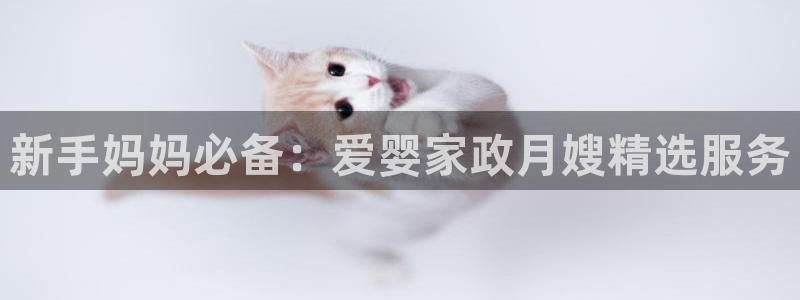 杏悦娱乐注册平台有哪些