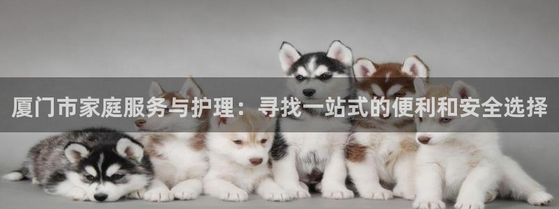 杏悦招商地址