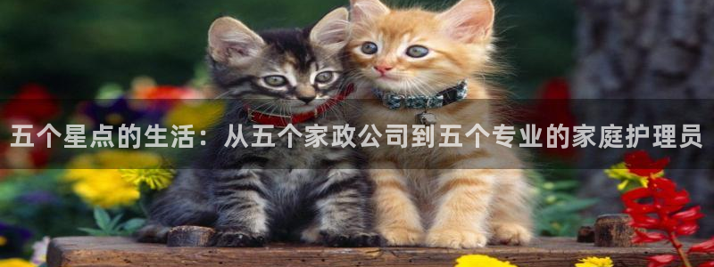 杏悦官方平台官网入口