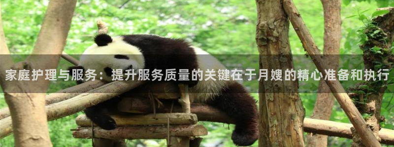 杏悦平台登录入口官网