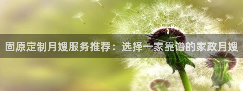 杏悦娱乐注册平台官网