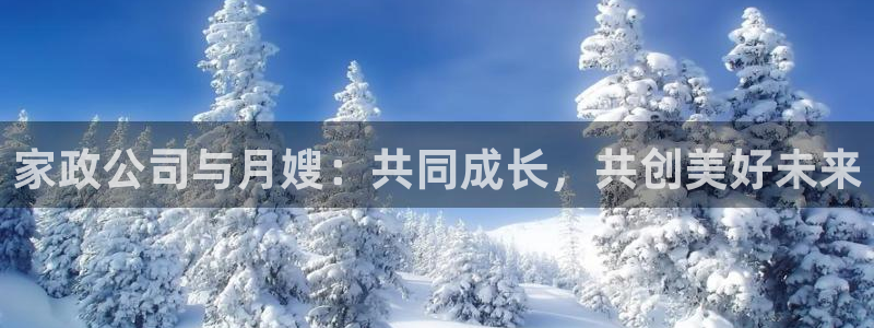 杏悦平台代理怎么做赚钱