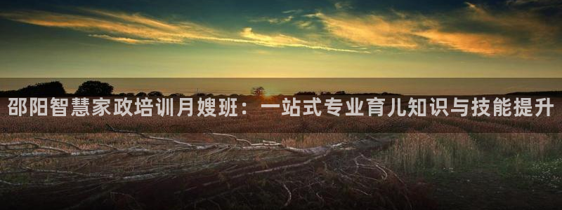 杏悦官方平台官网