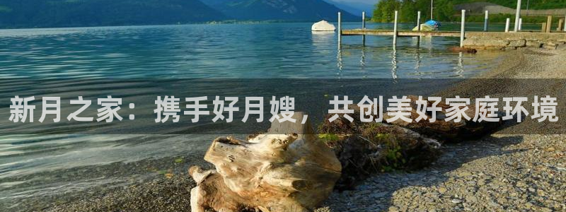 杏悦平台代理怎么做的