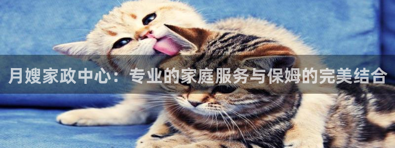 杏悦平台可靠吗是真的吗知乎