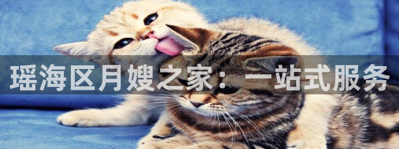 杏悦官方平台官网