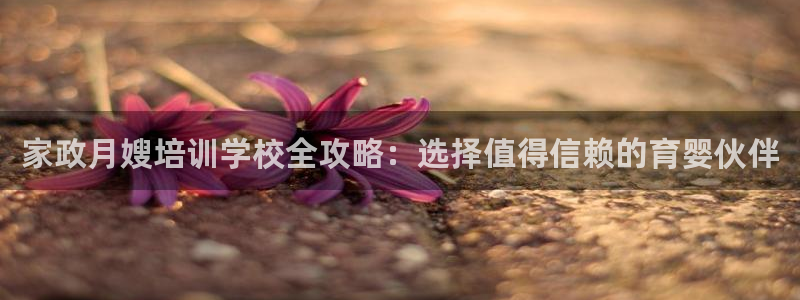 杏悦官方平台