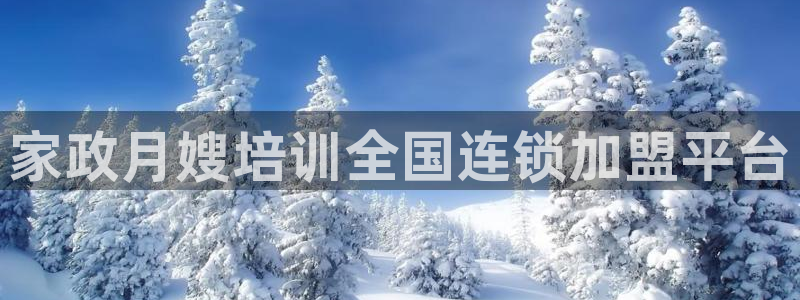 杏悦平台代理怎么赚钱